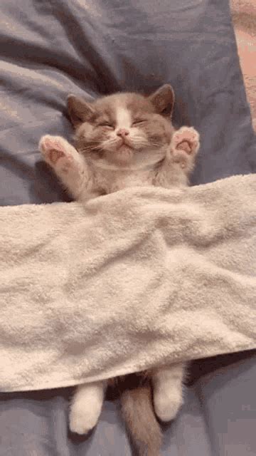 Allow your body to relax so that it can. . Cute sleep gif